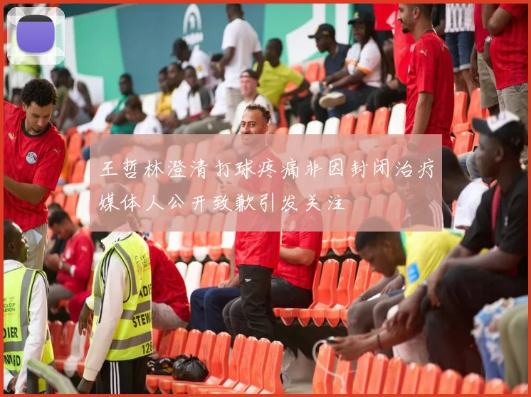 王哲林澄清打球疼痛非因封闭治疗媒体人公开致歉引发关注